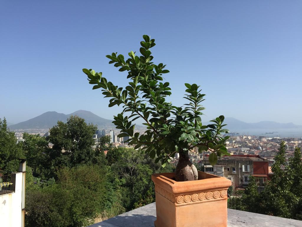 B&B La Veduta Naples Luaran gambar